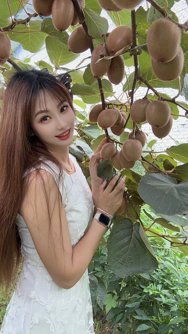 【中秋礼盒】陕西翠香猕猴桃周至正宗新鲜猕猴桃香甜现摘礼盒装送礼