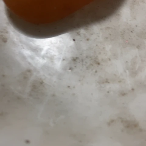 龍*龘z x x z c x x c c z