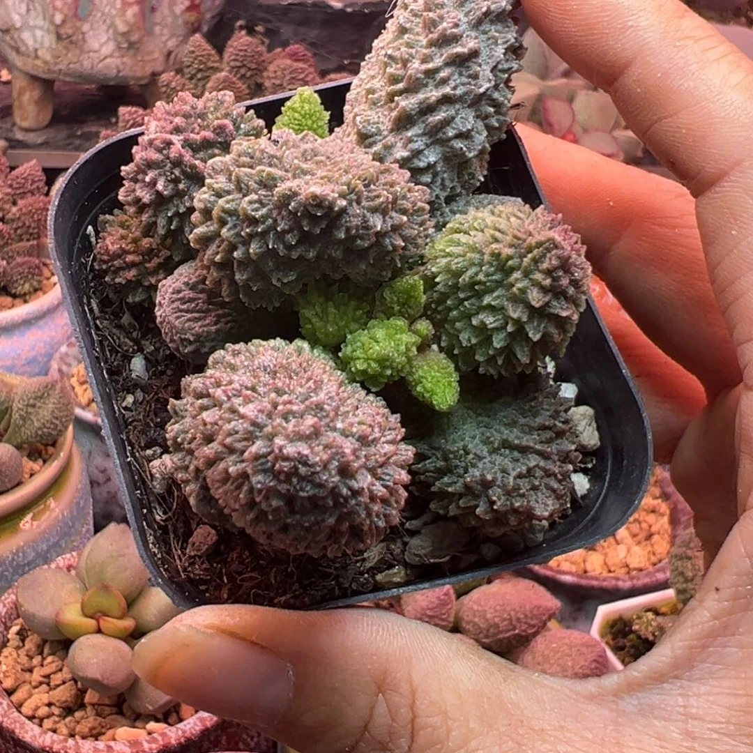 L***天我们都在努力着改变自己的