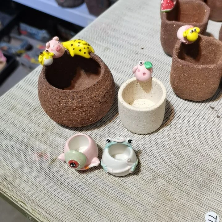 咬****?专拍花盆4个2455555