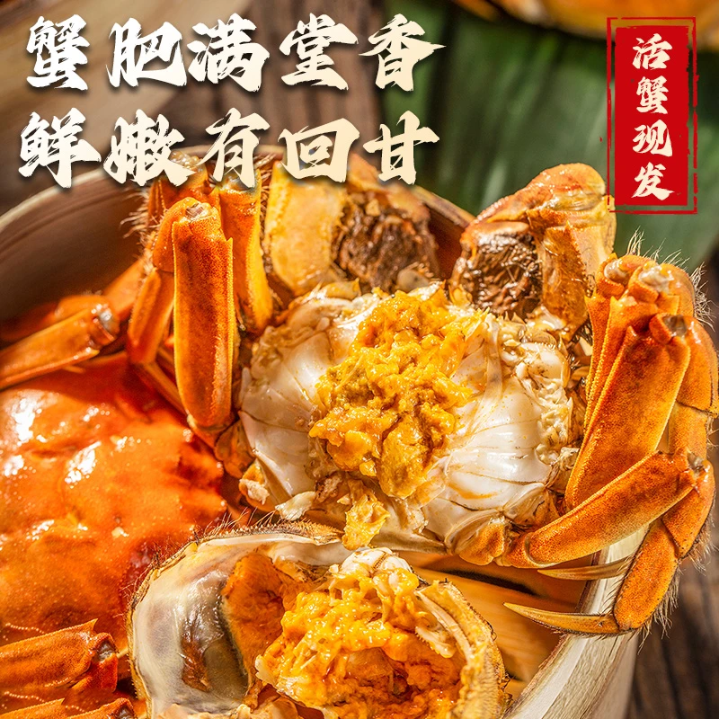 【活蟹】江苏金标大闸蟹公蟹6.0-5.7两两母蟹4.0-3.7两8只加2只E1