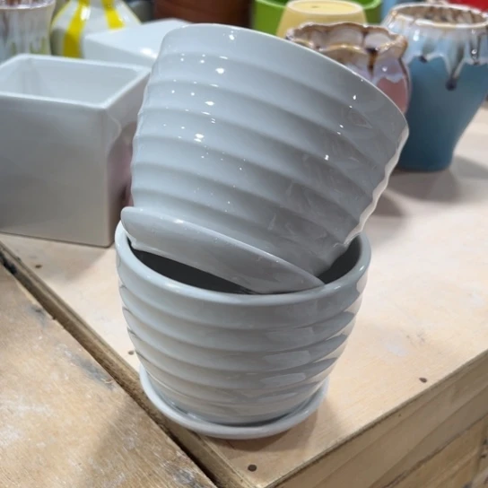 姐姐，什么盆都有，什么盆都会上，不点菜，稍微等一下哈