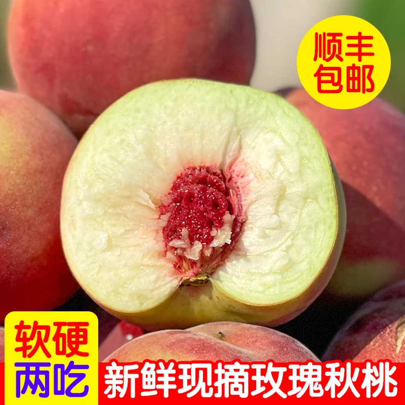 玫瑰秋桃甜蜜脆软两吃桃子水果新鲜毛蜜桃油冬桃甜