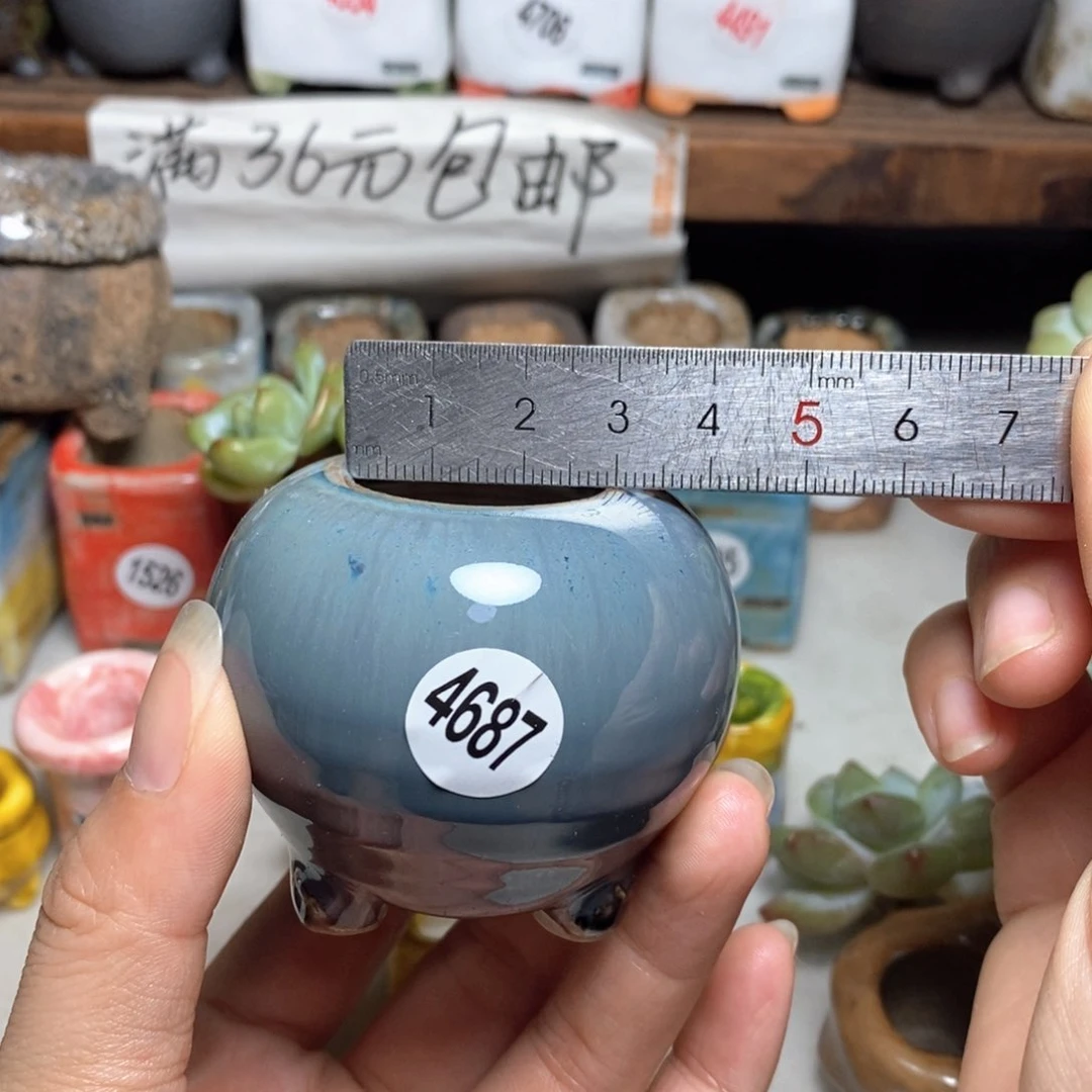 拍5送一个小礼物