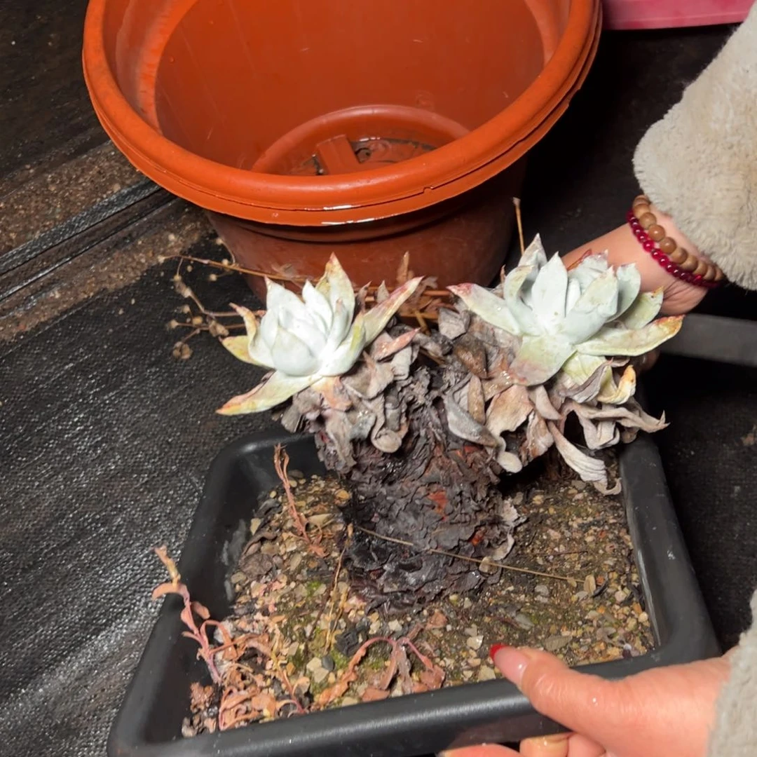 627哈哈哈哈哈哈哈哈哈