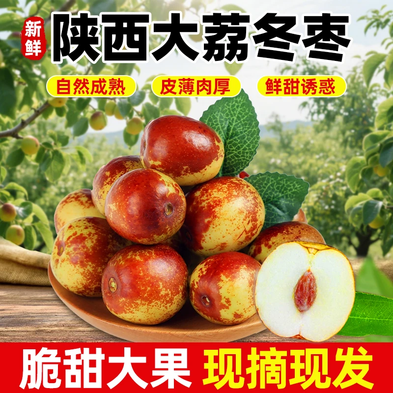 陕西大荔冬枣大果现摘产地直发新鲜脆甜冬枣大荔冬枣水果脆冬枣