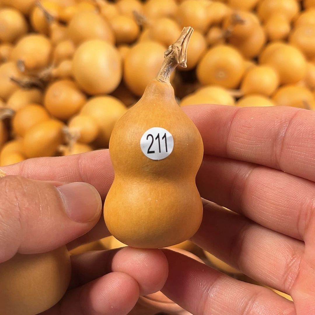 二葫芦葫芦葫芦葫芦211