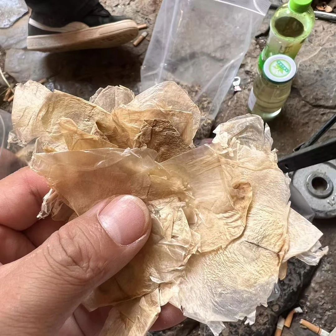 云南优选好物【小陈】玉蝴蝶