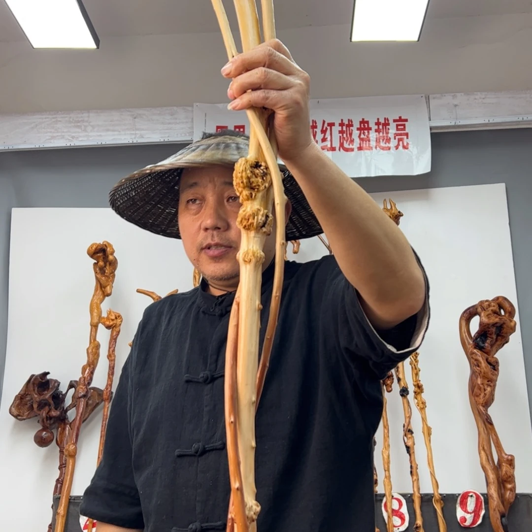 黑果木其他黑果木464