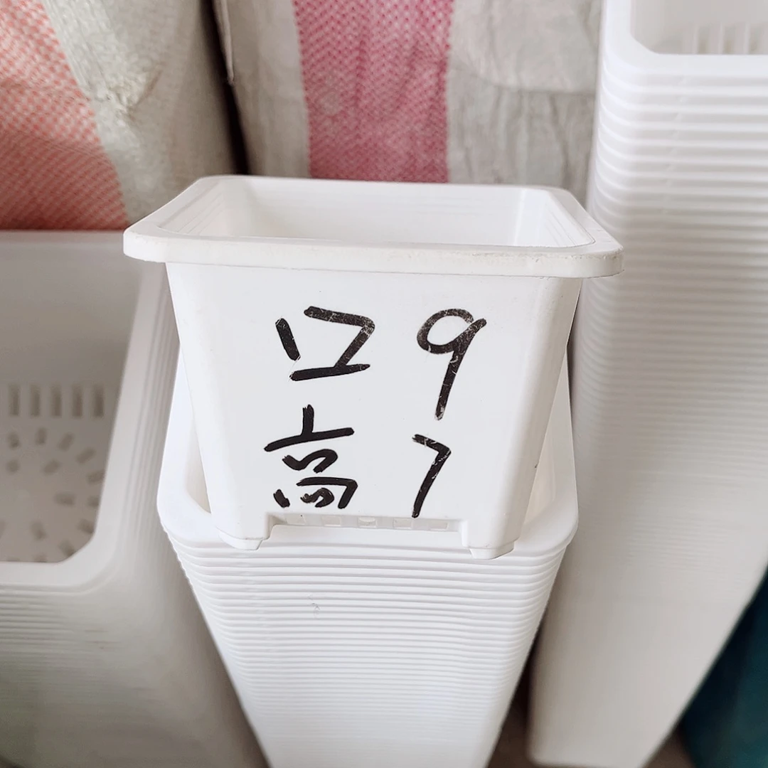 树脂福利款9方白色盆20个无托