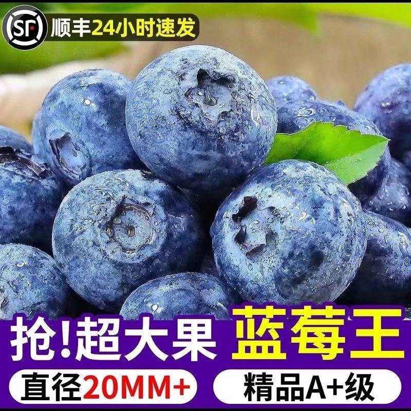 【顺丰速运】24+MM 秘鲁进口新鲜蓝莓 应季多汁 坏果包赔