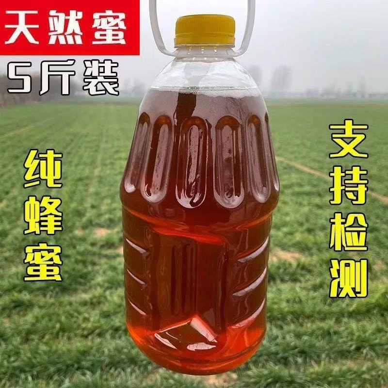 蜜蜂口粮百花蜜缺蜜繁殖思维越冬口粮意蜂天然洋槐蜜蜜蜂口粮