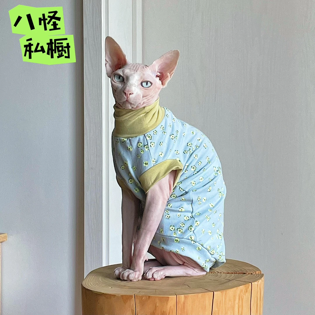 手工制作无毛猫德文猫夏季弹力纯棉针织贴身碎花坎肩