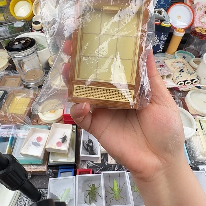 蟋蟀曹自康黄蛉盒…………