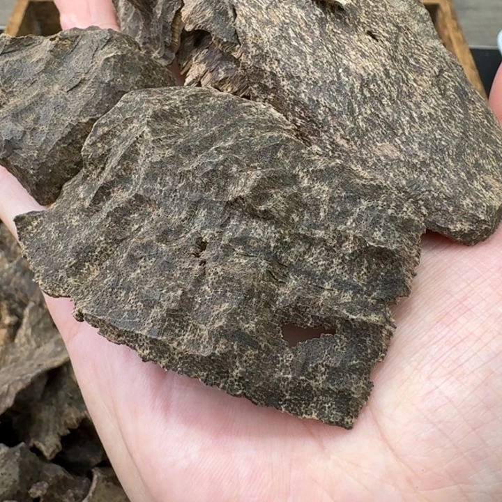 越南芽庄壳香。10克