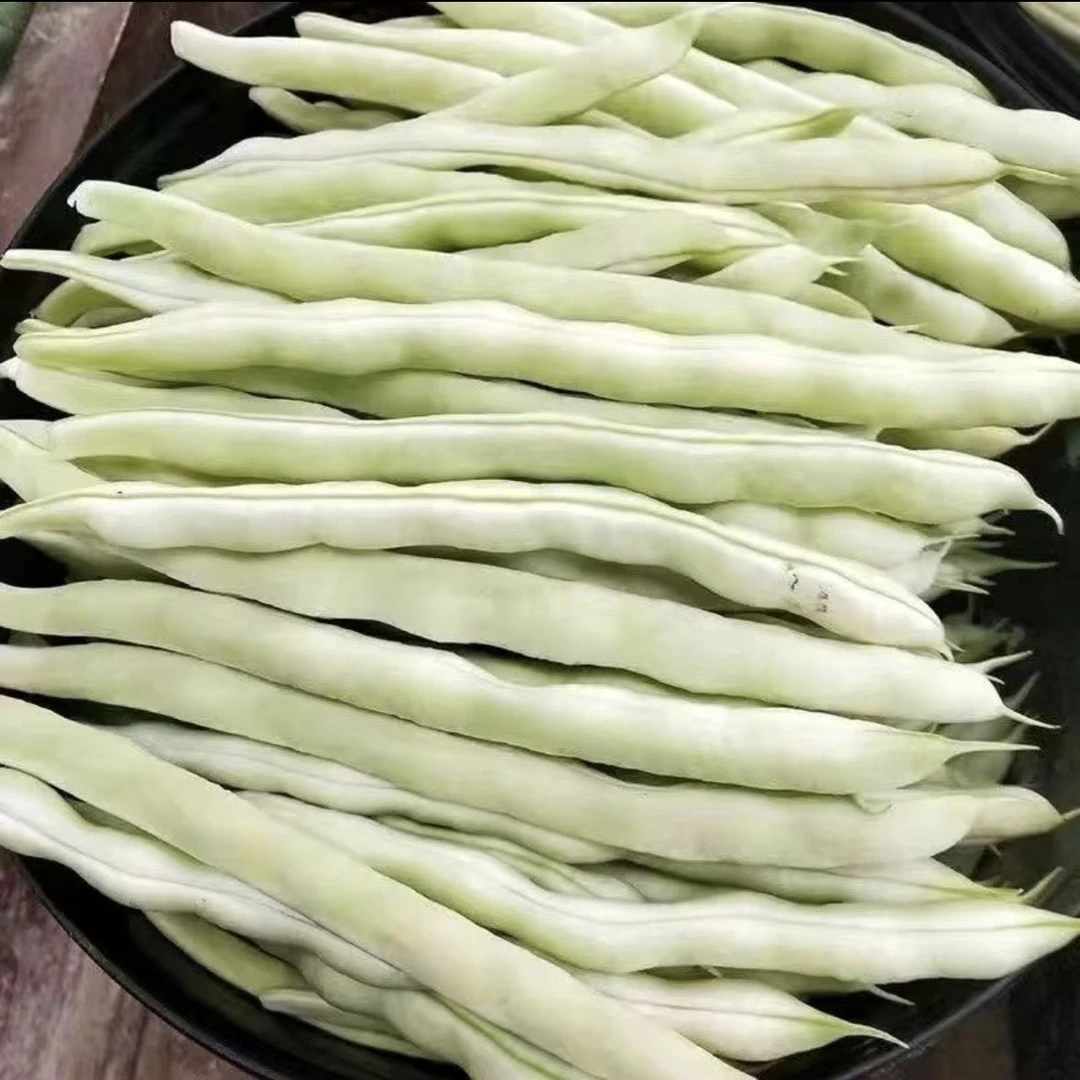 精选云南白豆角新鲜蔬菜