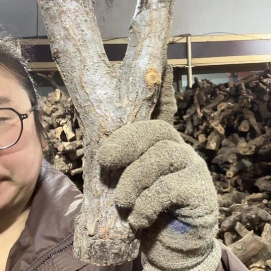 香榧木佳*彤火琉璃的毛料百家姓