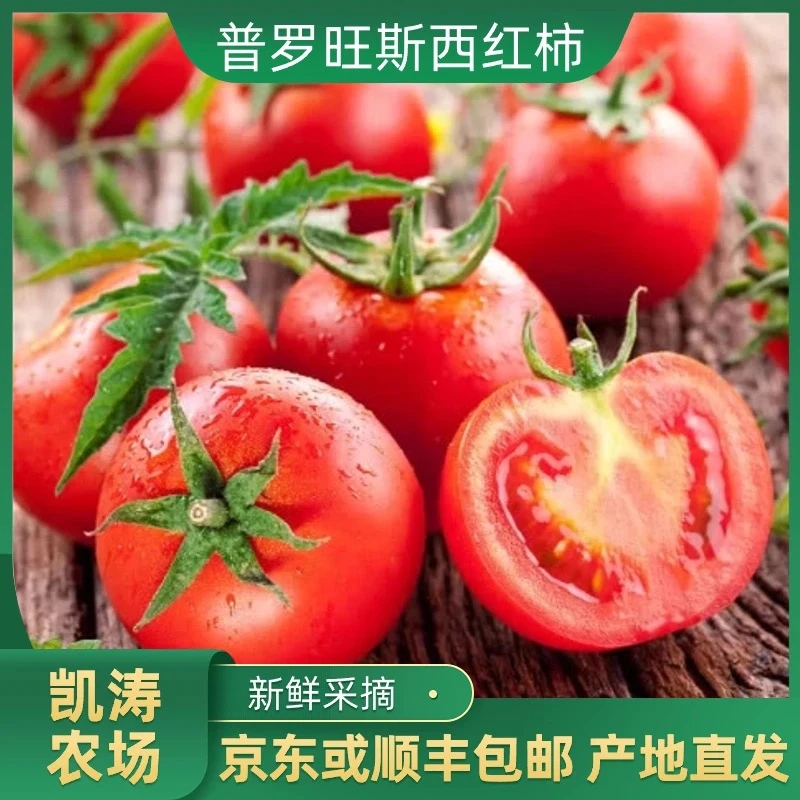 拍3发5斤暖棚普罗旺斯西红柿自然熟生吃炒菜都可京东或顺丰包邮