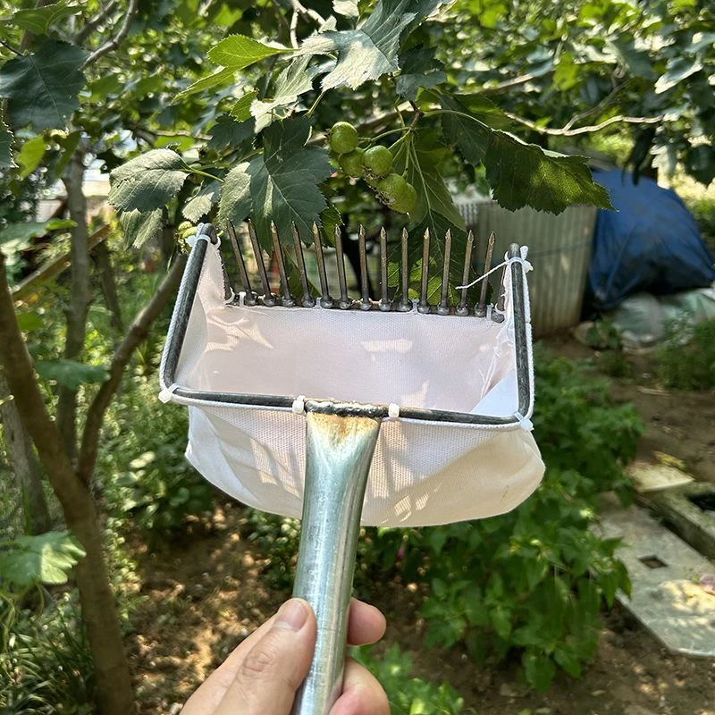 多功能摘酸枣神器可采摘山枣冬枣蓝莓等多种果实手动工具