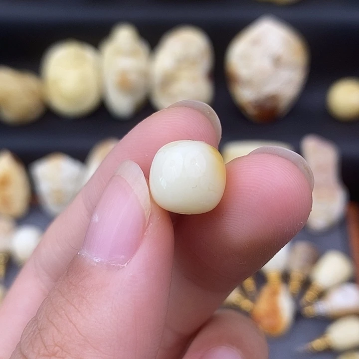 琥珀未镶嵌裸石10老邢c230