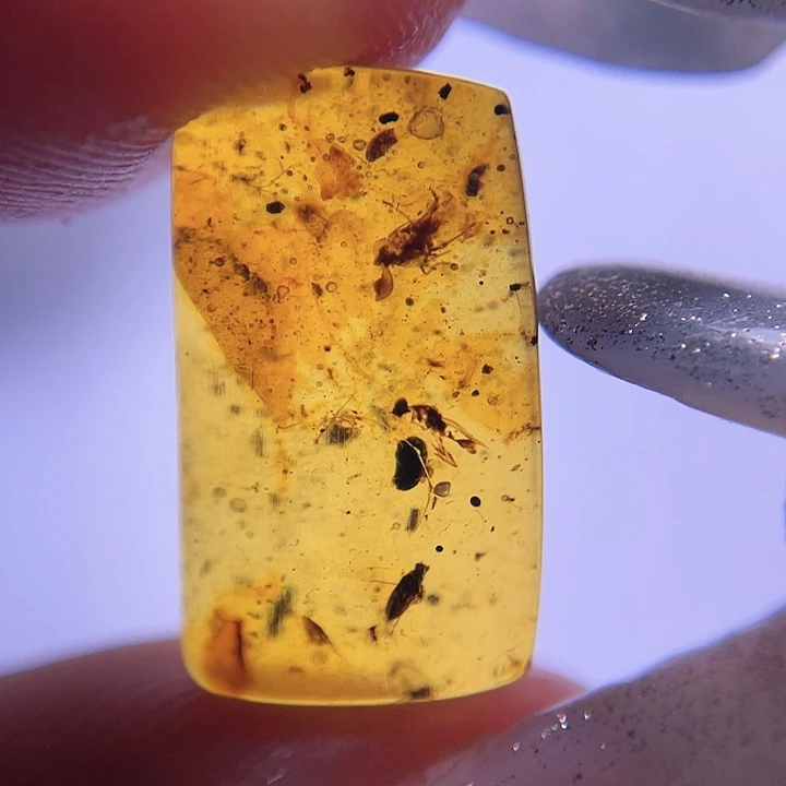 琥珀裸石未镶嵌！