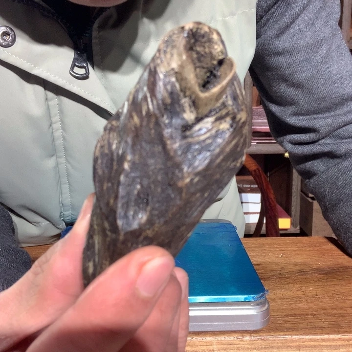 大果紫檀（缅甸花梨）金*果255