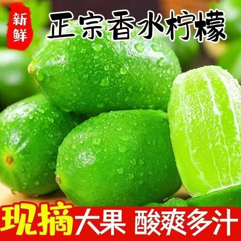 广东无籽香水青柠檬新鲜产地直发大果批发泡水奶茶店专用海南5斤