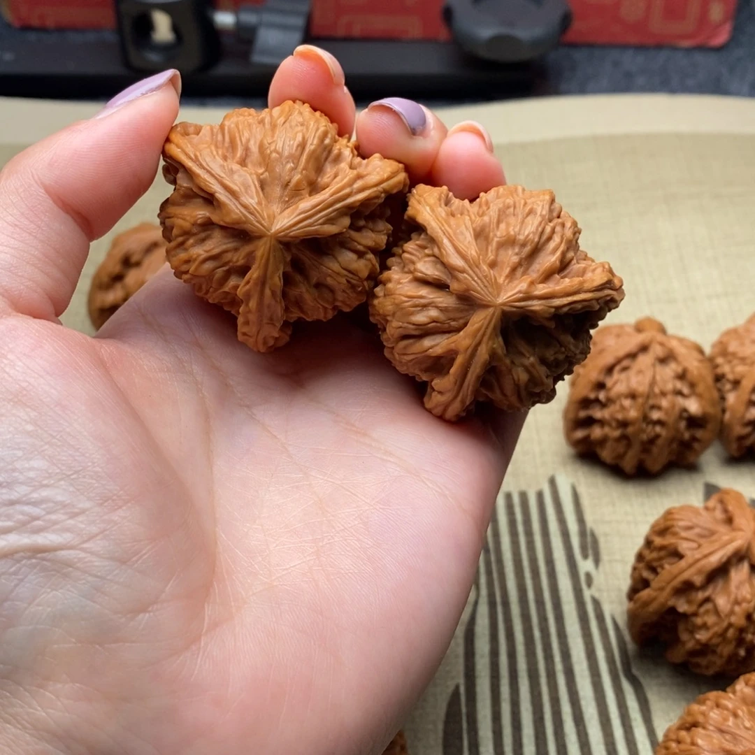 竹**悠白狮子1111111111