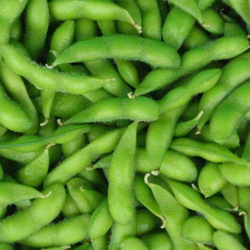 湖南道县本地毛豆田埂豆新鲜农产品带壳发货