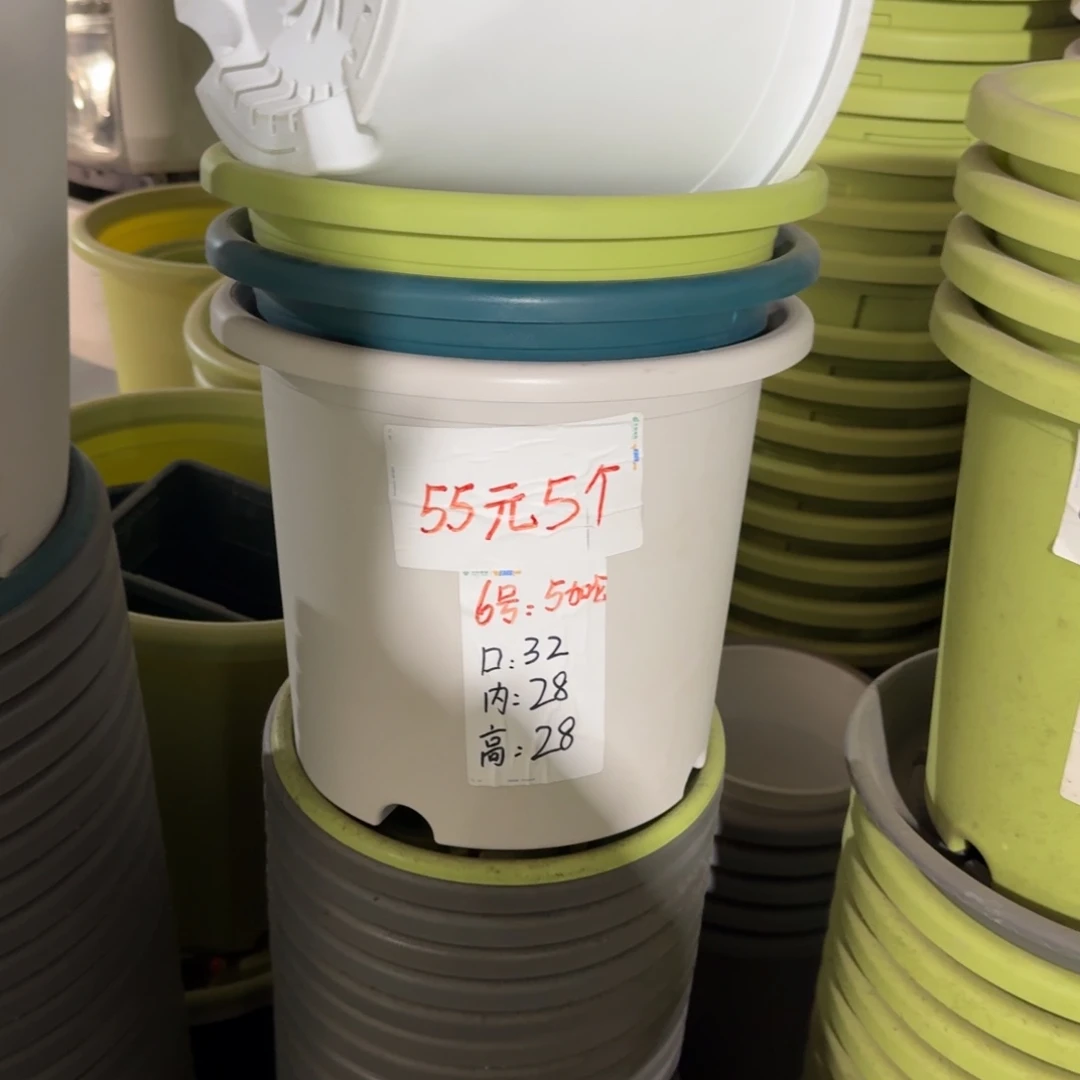 四季6#口径32无拖果绿10个