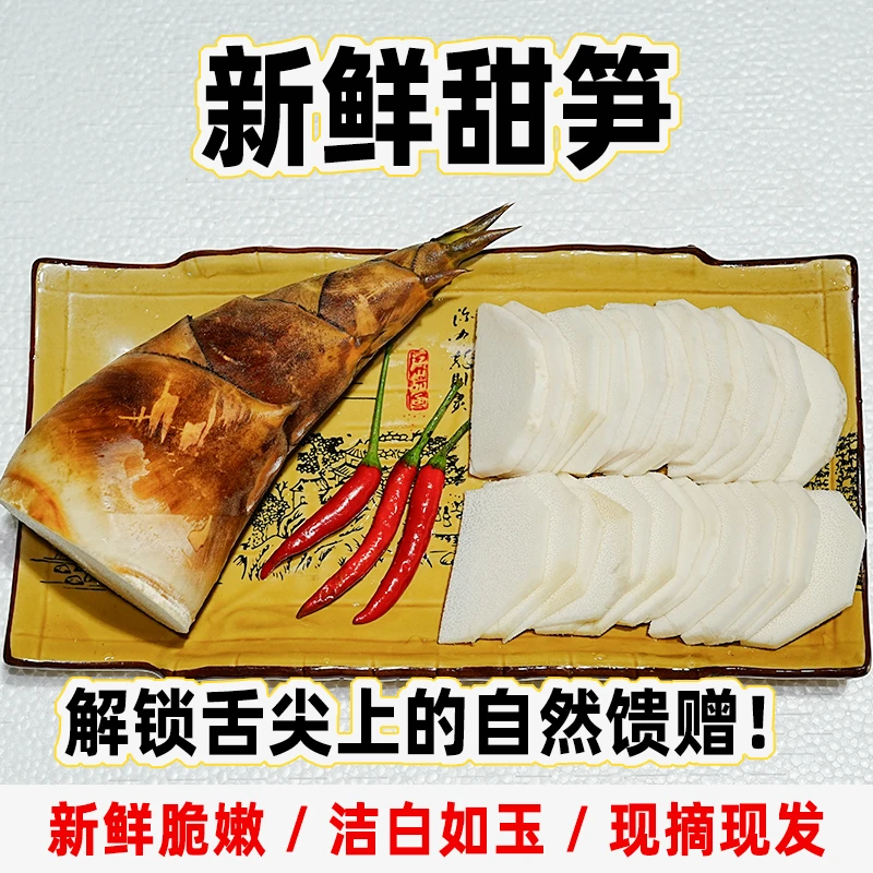 普洱甜笋新鲜不苦可生吃低卡食材煲汤煮鸡云南鲜笋刺身甜笋3斤装