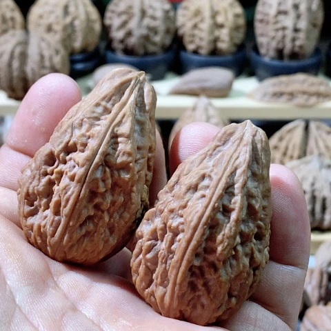 文玩核桃把件奶瓶