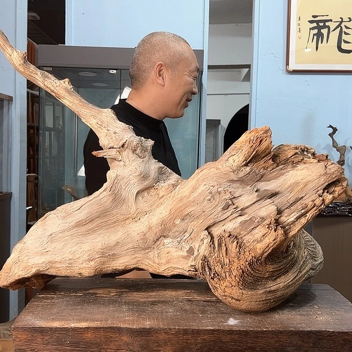 柏木老*家我们的生活也是如此吧