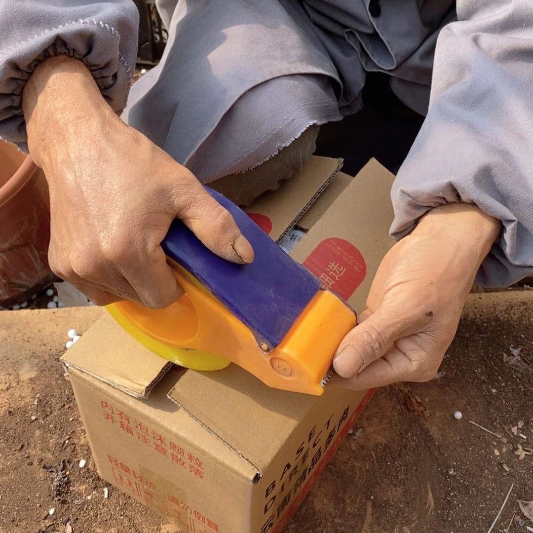 北****19.9景天混装