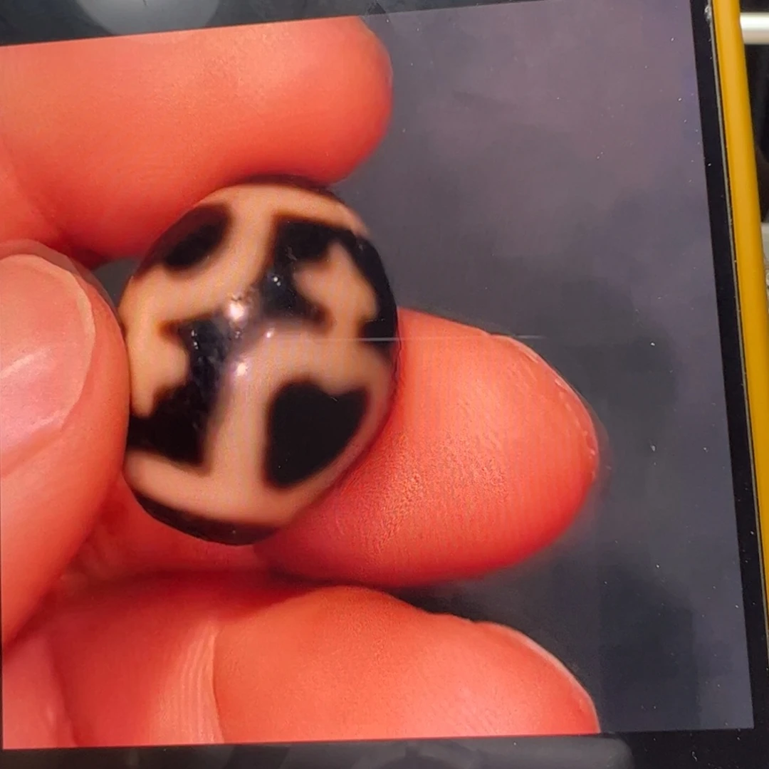 舍***得玛瑙/玉髓未镶嵌颈饰