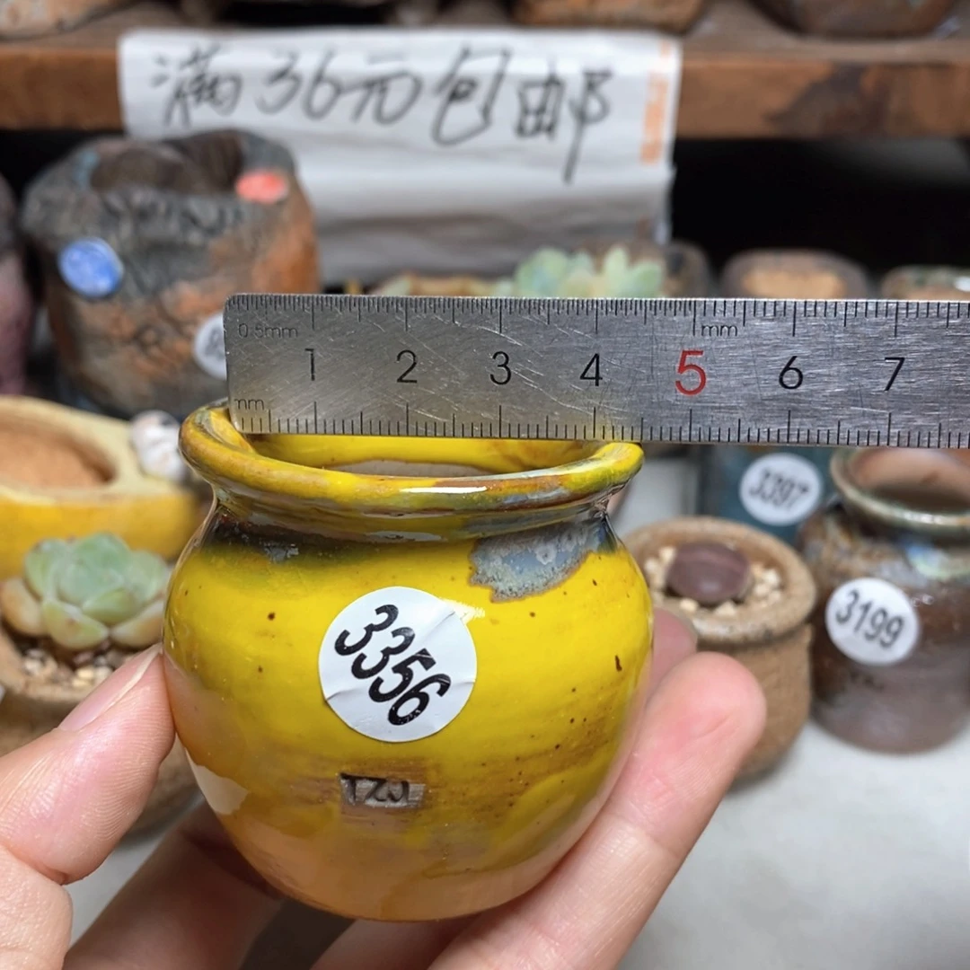 拍5送一个小礼物