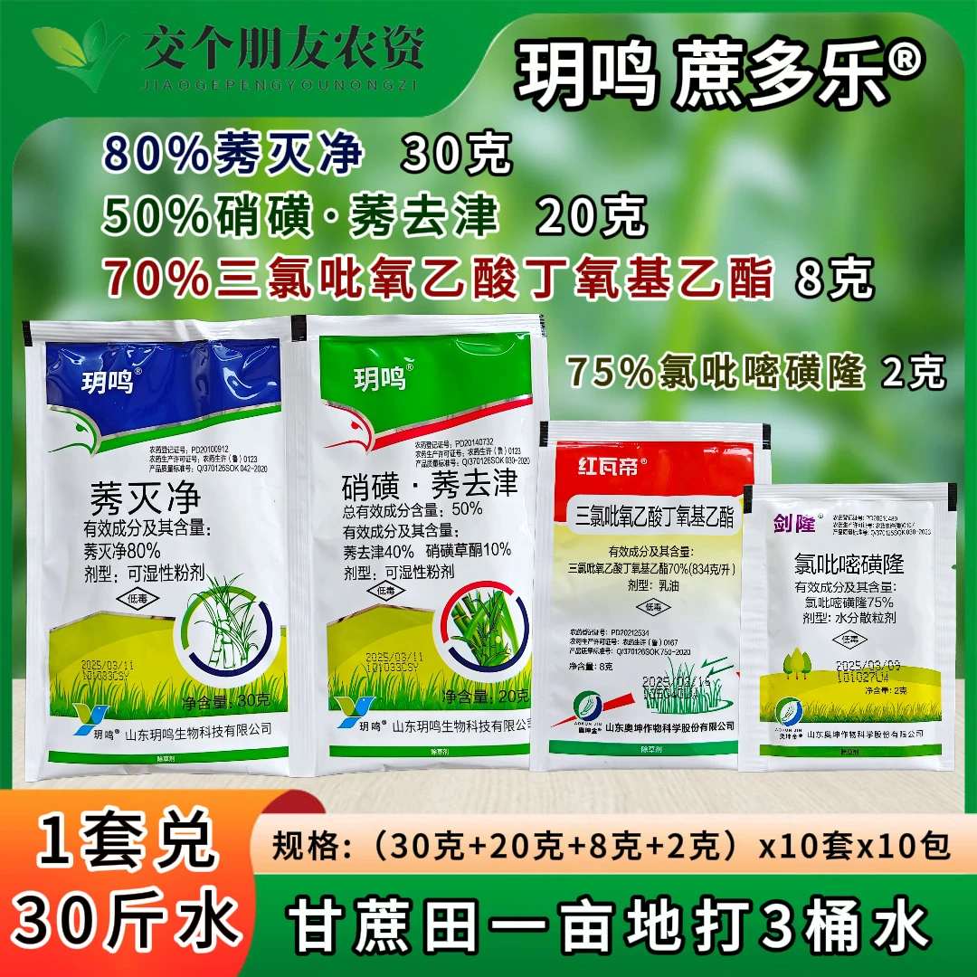 甘蔗套玥鸣蔗多乐莠灭净三氯吡氧乙酸丁氧基乙酯甘蔗田除草烂根