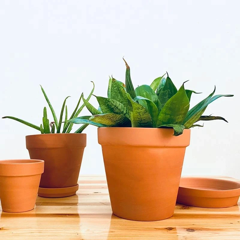 红陶花盆盆栽多肉盆兰花盆绿植透气特大号简约粗陶泥盆吸水育苗盆