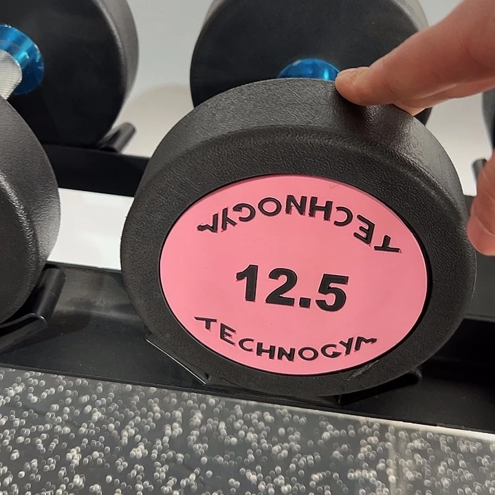 全新纯钢泰诺哑铃12.5公斤一对粉色