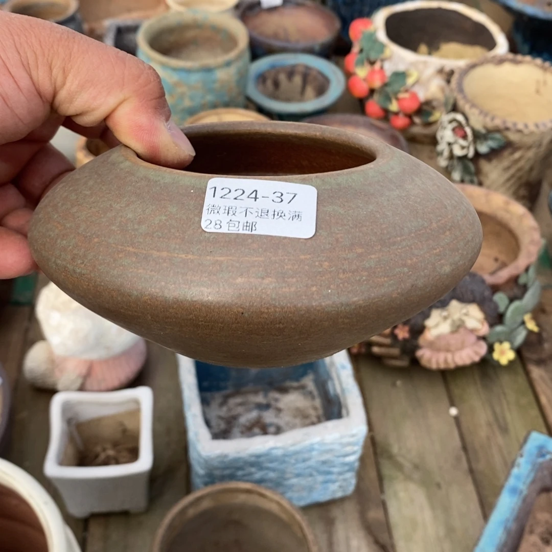 37号花盆内7高7花盆