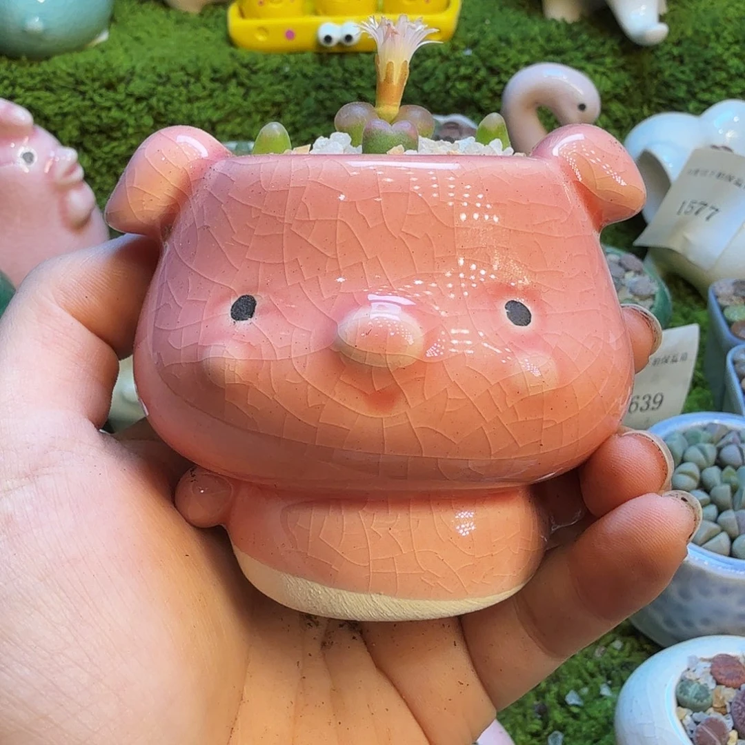 得***.多肉葡萄的味道真的1669