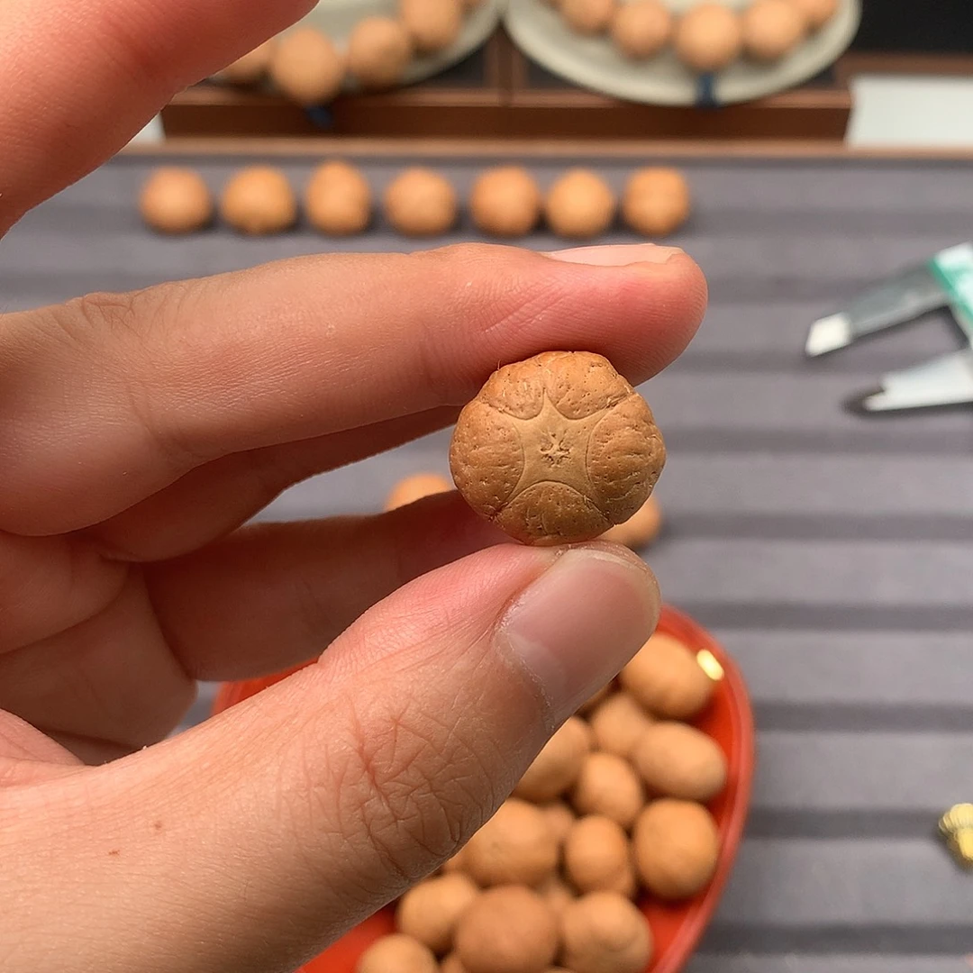 吊坠凤眼菩提福利特价20+五星，非质量问题开孔不退