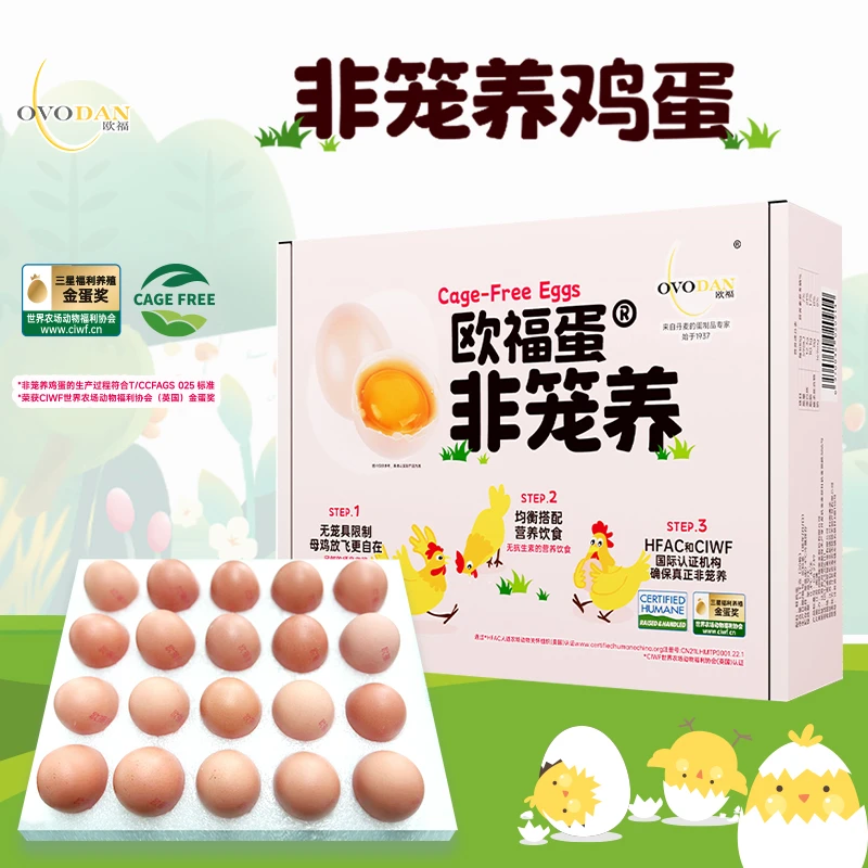 OVODAN/欧福非笼养鸡蛋整箱20枚1.1kg 鲜鸡蛋