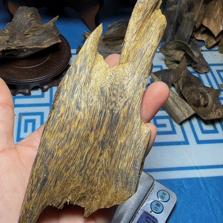 木质海南黄奇树心油38克