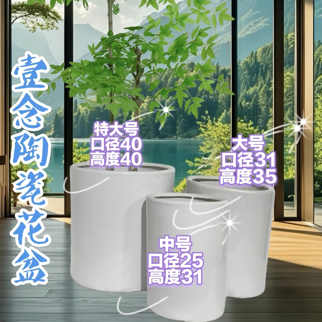 卡洛琳娜彩叶芋自种大种球原盆笔筒款室内室外大口径陶瓷花盆