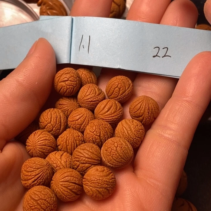 吊坠桃核陕西秦岭山桃核