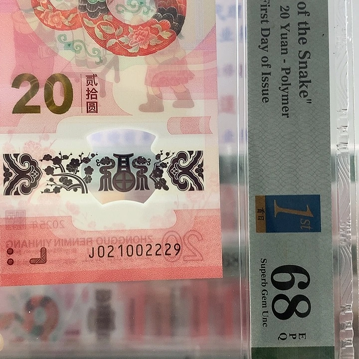 塑料朦胧0129，豹身