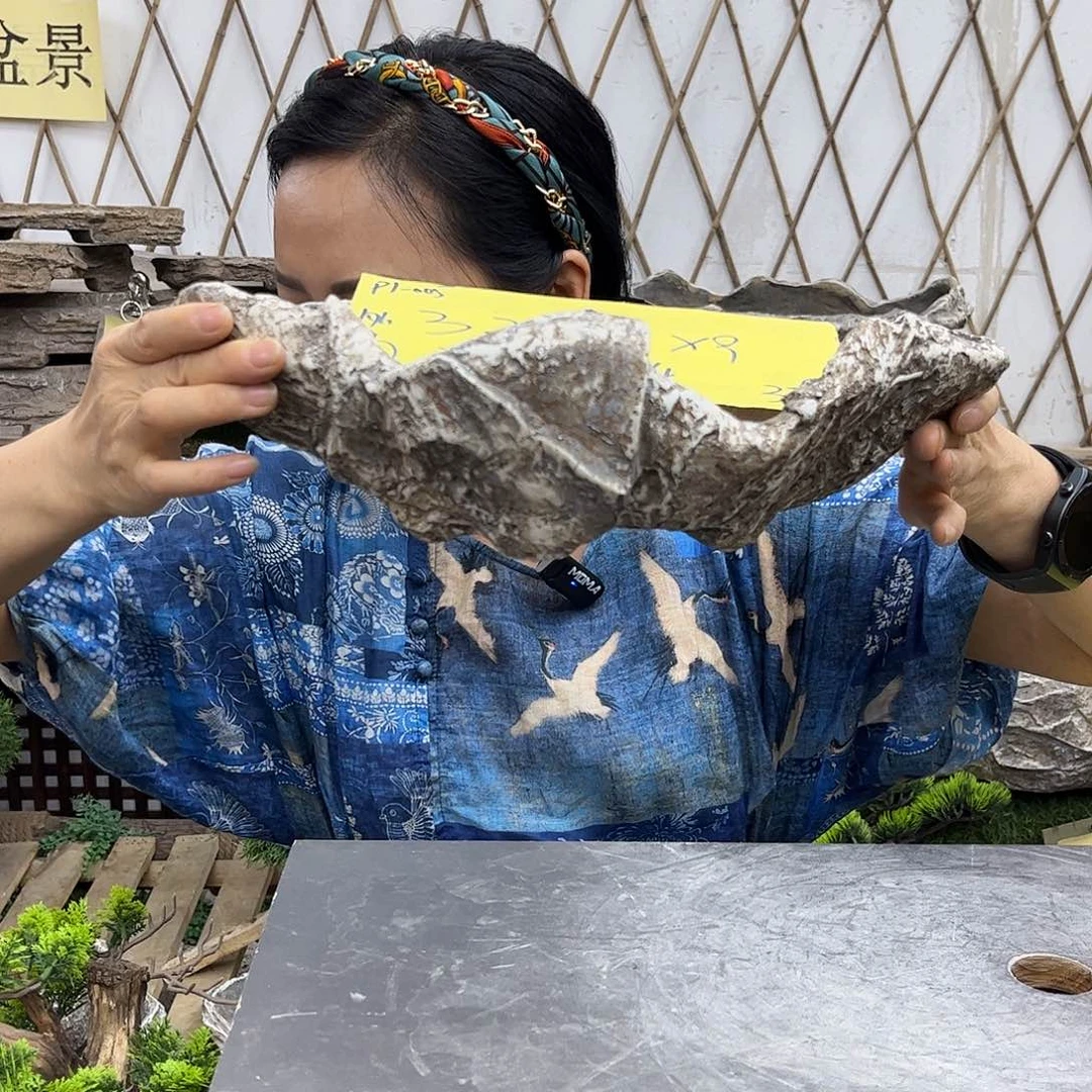 盆景盆盆景盆O1-005