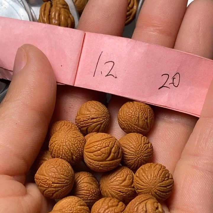 吊坠桃核陕西秦岭山桃核