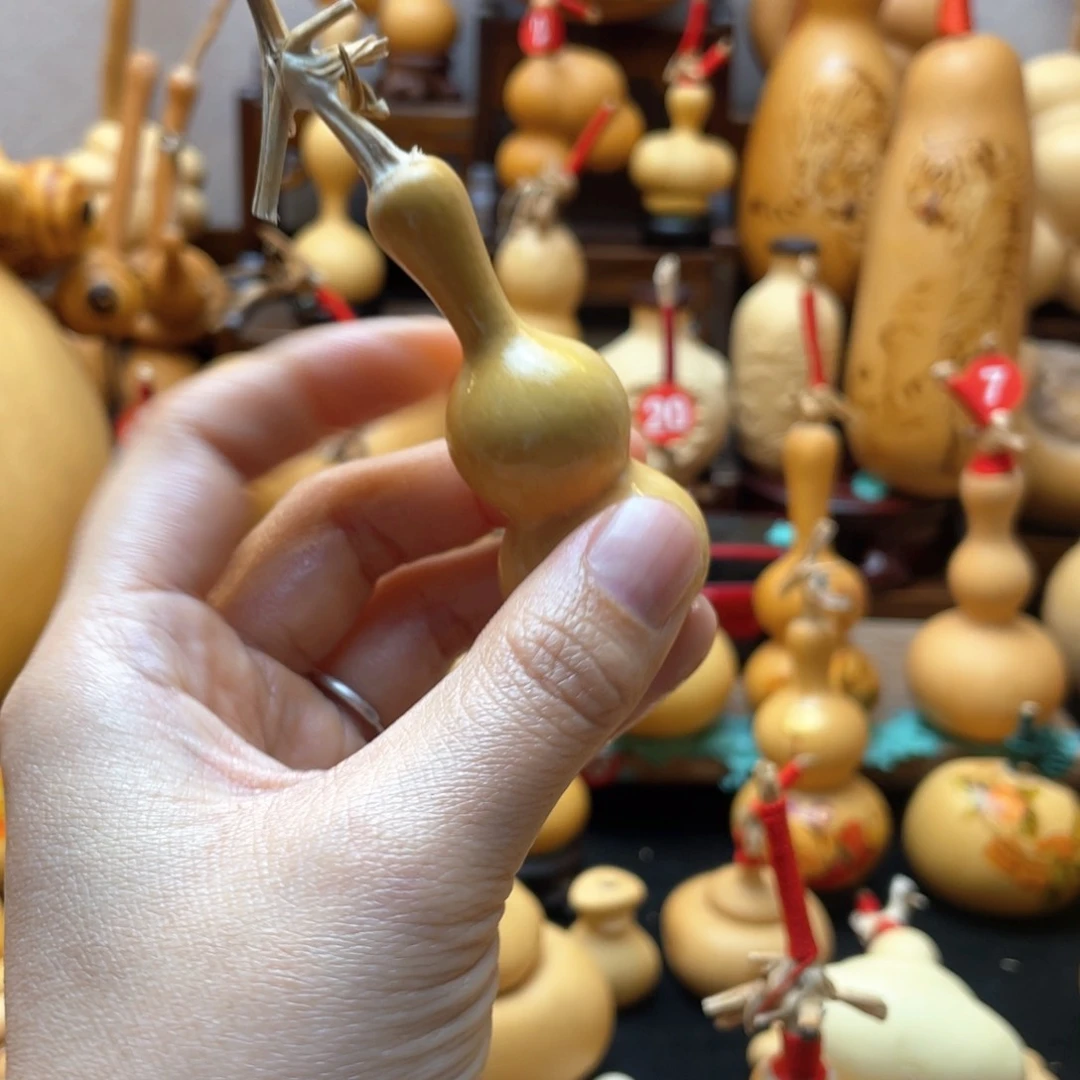 Z*栋大自然的秘密第十一节你